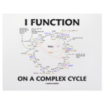 I Function On A Complex Cycle (Krebs Cycle Humour) letterhead