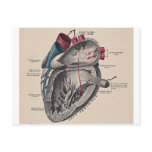 I give you my heart post cards