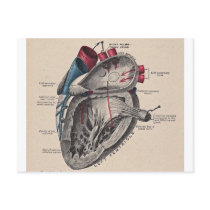 I give you my heart post cards