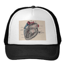 I give you my heart trucker hat
