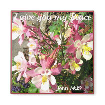'I give you my Peace!' Fridge Magnets