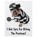 I Got 5yrs For Biting The Postman! - Flyer