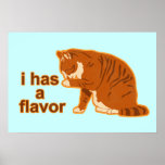 I has a flavour, Lol Cat Poster posters