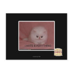 I hate everything post card