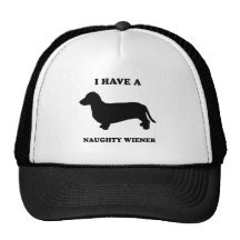 I have a naughty wiener hat