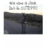 I have a really CUTE LITTLE ASS!  Wanna see...? t-shirts