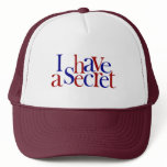 I Have A Secret Mesh Hat