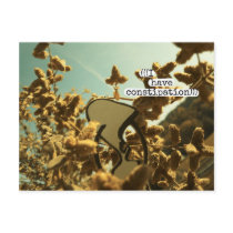 (((I have constipation))) Postcard