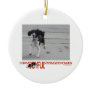 I Have Joyful Springer Power Customize With Photo Christmas Tree Ornaments