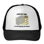 I Have My Own Filtered View Of The World Hats