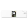 I Have Taken My Barack Obama bumper sticker off
