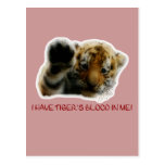 I Have Tiger's Blood In Me! Postcards