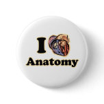 I heart Anatomy Science Super Geek Teacher buttons