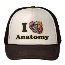 I heart Anatomy Science Super Geek Teacher Trucker Hat