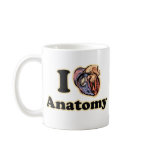 I heart Anatomy Science Super Geek Teacher mugs