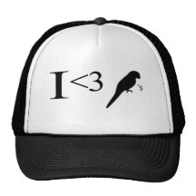 i heart birds hat