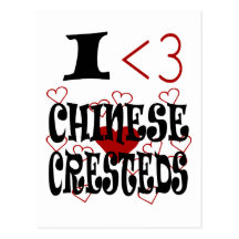 I Heart Chinese Cresteds Postcard
