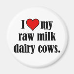 I Heart Cows Magnets