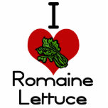 I heart-love romaine lettuce photo sculptures