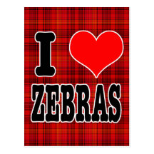 I HEART (LOVE) zebras Post Card