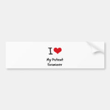 I heart My Patent Examiner Bumper Stickers
