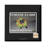 I iz not a cat. Iz a salad. Magnets