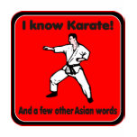 I know Karate Humourous Attitude T-shirt