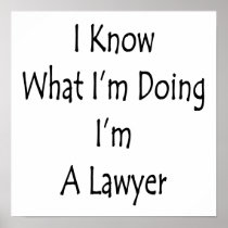 I Know What I'm Doing I'm A Lawyer