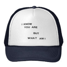 I Know You Are But What Am I