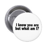 I Know You Are What Am I Pin