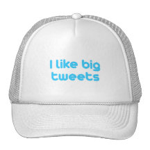 I like big tweets mesh hat