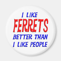 I Like Ferrets Better Than I Like People Magnet