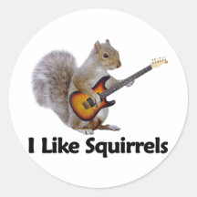 I Like Squirrels Round Sticker