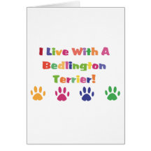 I Live With A Bedlington Terrier Cards