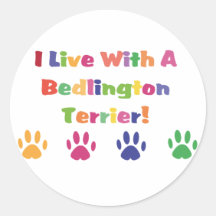 I Live With A Bedlington Terrier Stickers