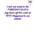 I lost my mind in the FIBROMYALGIA fog bank off... t-shirts
