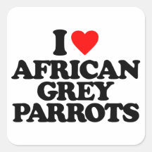 I LOVE AFRICAN GREY PARROTS SQUARE STICKER