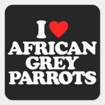 I LOVE AFRICAN GREY PARROTS STICKER