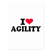 I love agility postcards