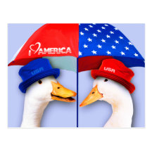 I Love America. Fun US Patriotic Postcards