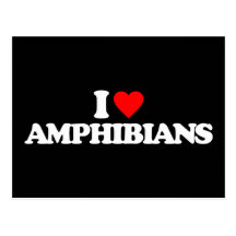 I LOVE AMPHIBIANS POST CARD