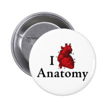 I love anatomy pinback buttons
