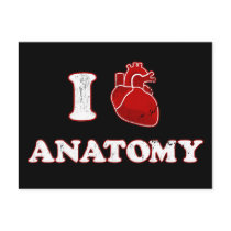 i love anatomy