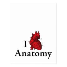I love anatomy postcard