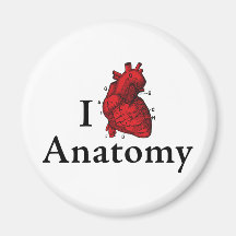 I love anatomy refrigerator magnet