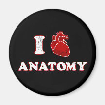 i love anatomy refrigerator magnets