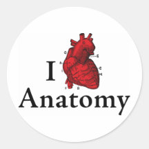 I love anatomy stickers