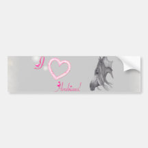 I Love Arabians, Arabian Horse Art Bumper Stickers
