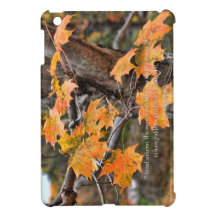 I love autumn cover for the iPad mini