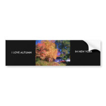 I LOVE AUTUMN IN NEW YORK BUMPER STICKERS